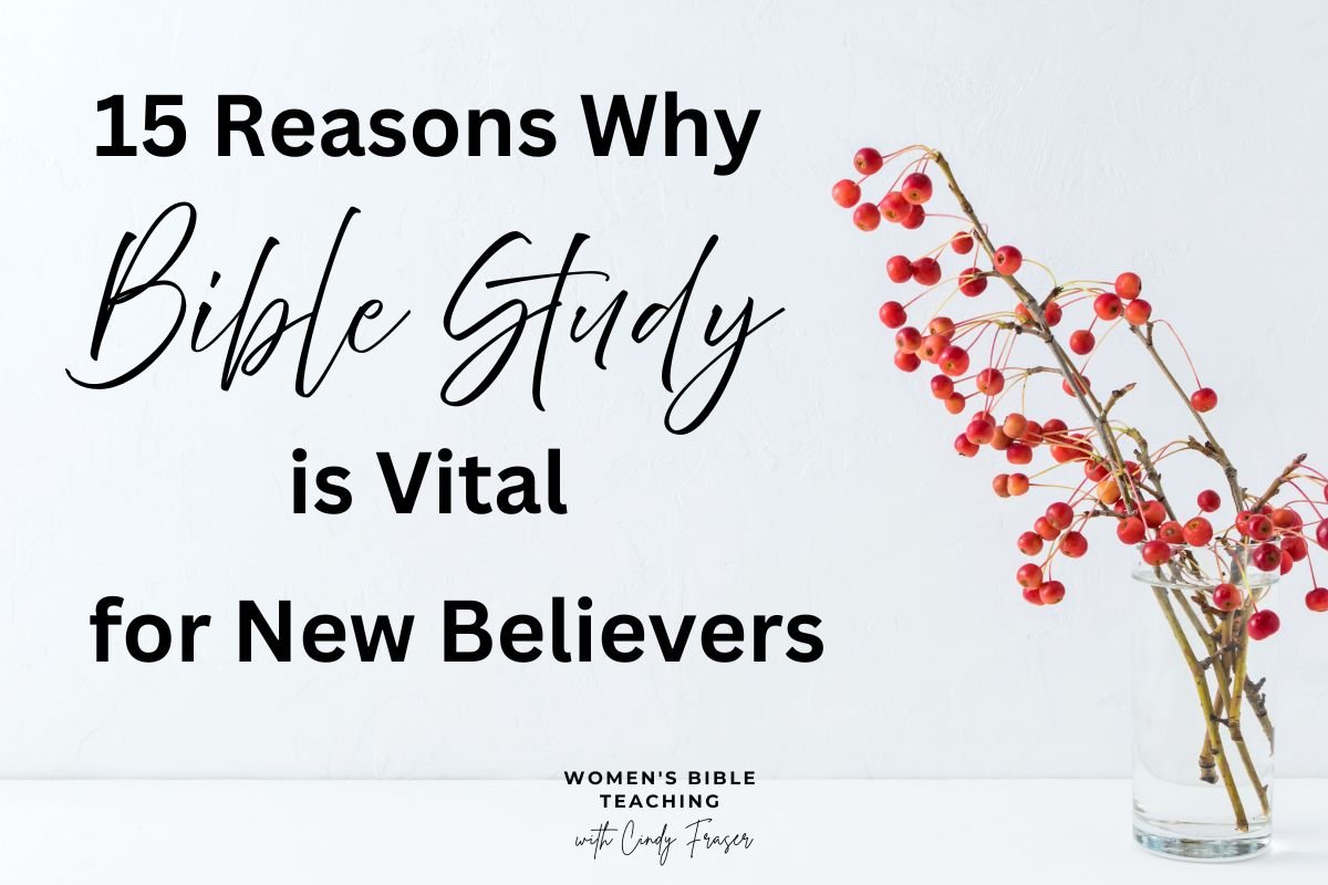 Why Bible Study is Important for New Believers